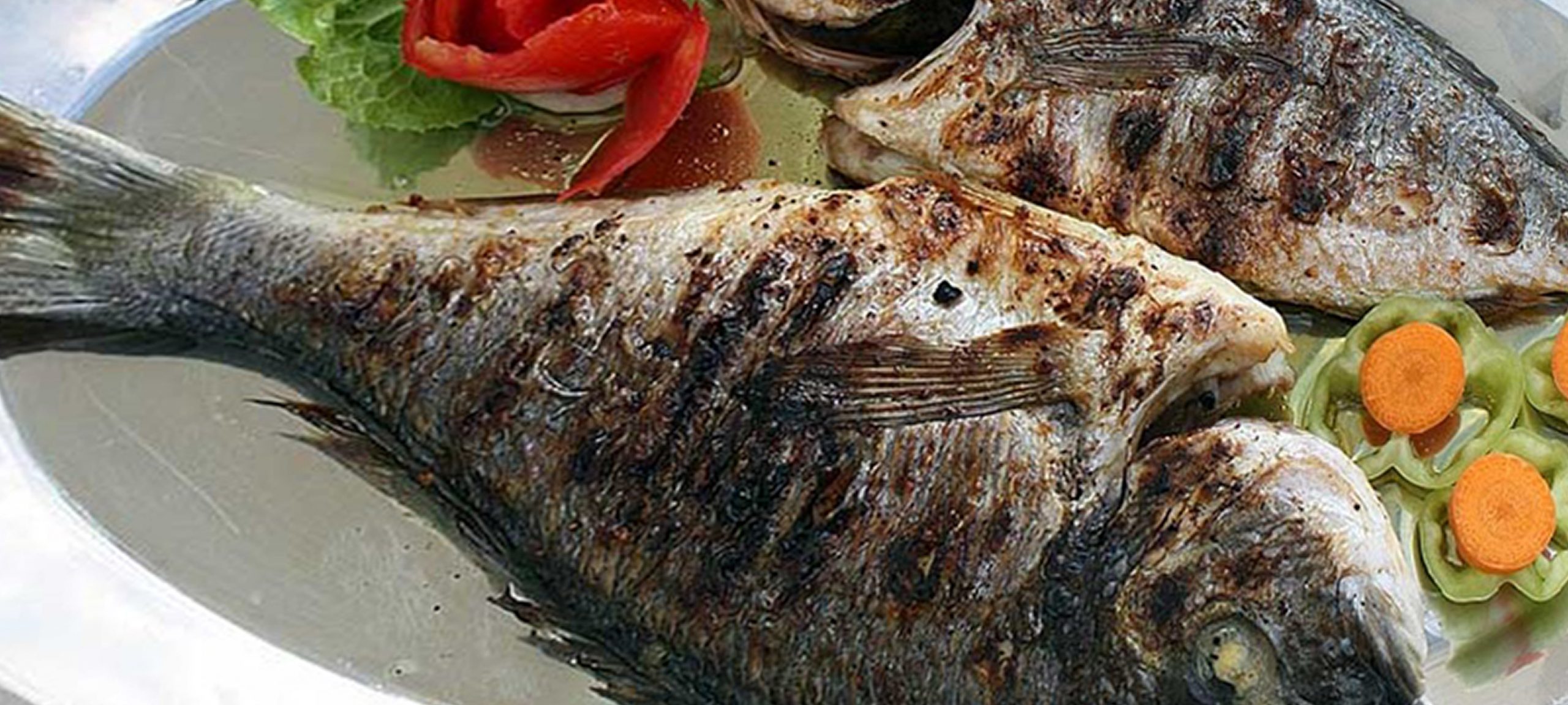 Balık olmadan olmaz